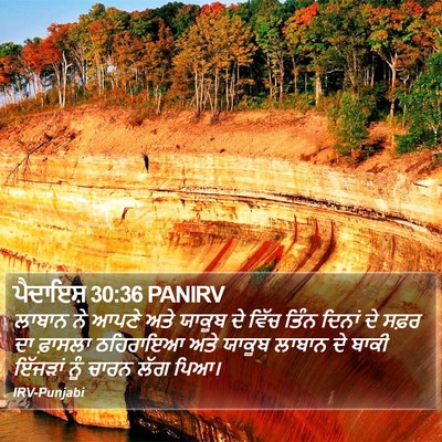 ਪੈਦਾਇਸ਼ 30:36 PANIRV Bible Verse Image