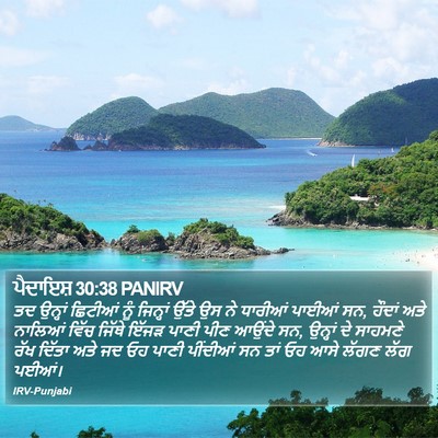 ਪੈਦਾਇਸ਼ 30:38 PANIRV Bible Verse Image