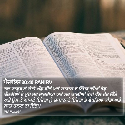 ਪੈਦਾਇਸ਼ 30:40 PANIRV Bible Verse Image