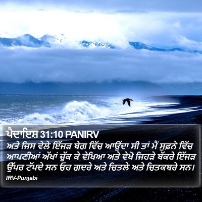 ਪੈਦਾਇਸ਼ 31:10 PANIRV Bible Verse Image