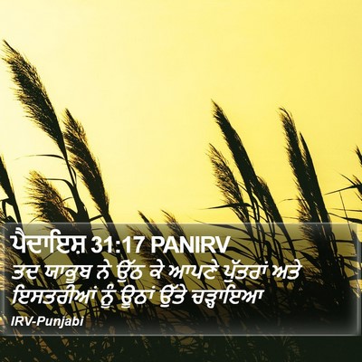 ਪੈਦਾਇਸ਼ 31:17 PANIRV Bible Verse Image