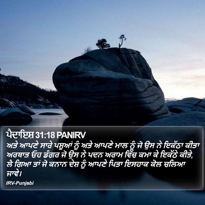 ਪੈਦਾਇਸ਼ 31:18 PANIRV Bible Verse Image