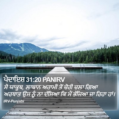ਪੈਦਾਇਸ਼ 31:20 PANIRV Bible Verse Image
