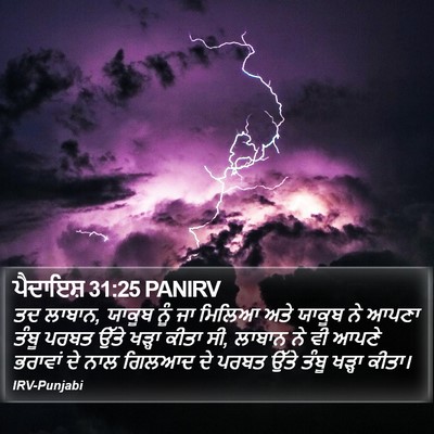 ਪੈਦਾਇਸ਼ 31:25 PANIRV Bible Verse Image