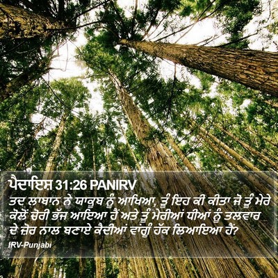 ਪੈਦਾਇਸ਼ 31:26 PANIRV Bible Verse Image