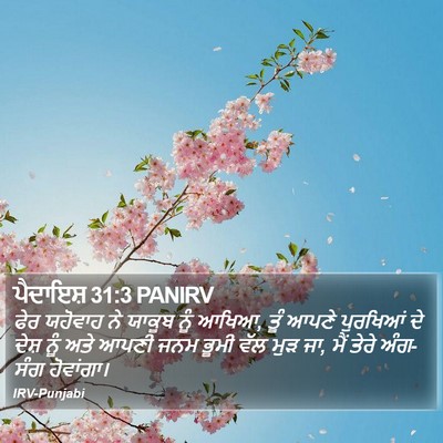 ਪੈਦਾਇਸ਼ 31:3 PANIRV Bible Verse Image