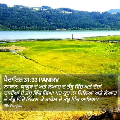 ਪੈਦਾਇਸ਼ 31:33 PANIRV Bible Verse Image