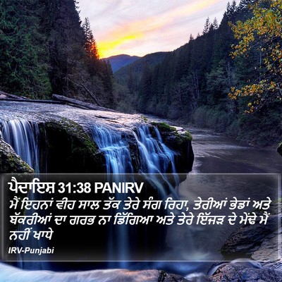 ਪੈਦਾਇਸ਼ 31:38 PANIRV Bible Verse Image