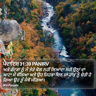 ਪੈਦਾਇਸ਼ 31:39 PANIRV Bible Verse Image