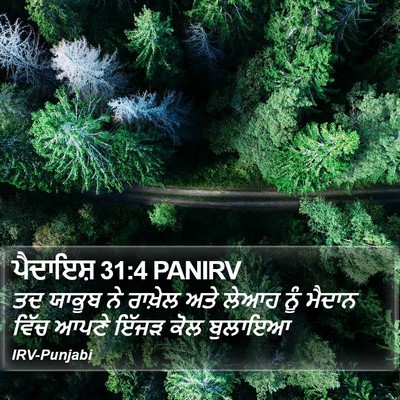 ਪੈਦਾਇਸ਼ 31:4 PANIRV Bible Verse Image