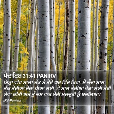 ਪੈਦਾਇਸ਼ 31:41 PANIRV Bible Verse Image