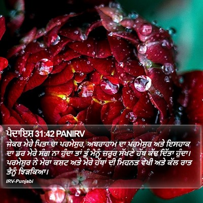 ਪੈਦਾਇਸ਼ 31:42 PANIRV Bible Verse Image