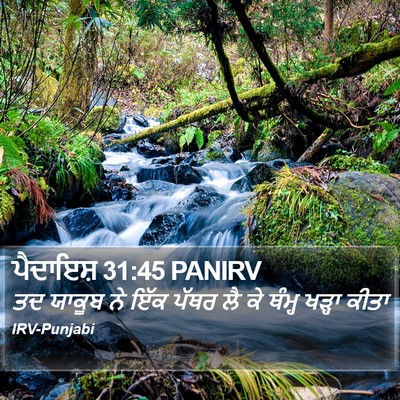 ਪੈਦਾਇਸ਼ 31:45 PANIRV Bible Verse Image