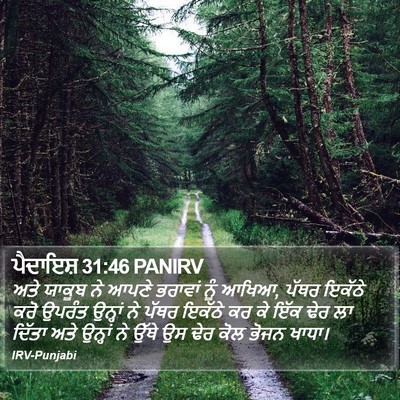 ਪੈਦਾਇਸ਼ 31:46 PANIRV Bible Verse Image