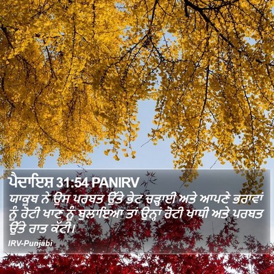 ਪੈਦਾਇਸ਼ 31:54 PANIRV Bible Verse Image