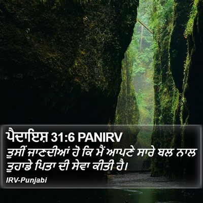 ਪੈਦਾਇਸ਼ 31:6 PANIRV Bible Verse Image