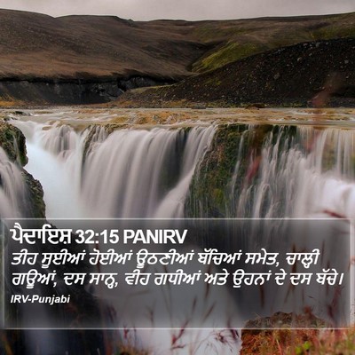 ਪੈਦਾਇਸ਼ 32:15 PANIRV Bible Verse Image