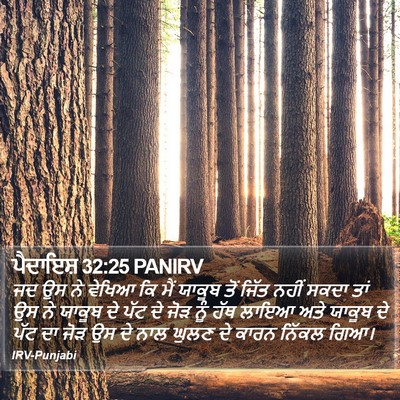 ਪੈਦਾਇਸ਼ 32:25 PANIRV Bible Verse Image