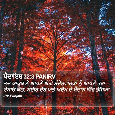 ਪੈਦਾਇਸ਼ 32:3 PANIRV Bible Verse Image