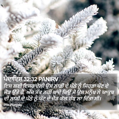 ਪੈਦਾਇਸ਼ 32:32 PANIRV Bible Verse Image