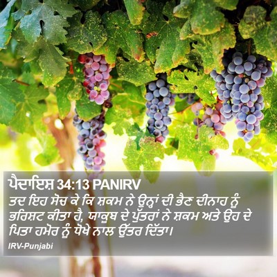 ਪੈਦਾਇਸ਼ 34:13 PANIRV Bible Verse Image