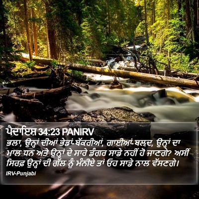 ਪੈਦਾਇਸ਼ 34:23 PANIRV Bible Verse Image
