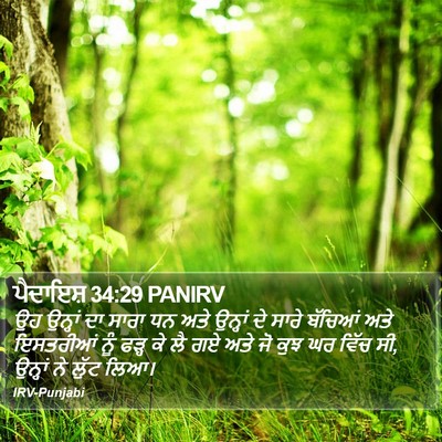 ਪੈਦਾਇਸ਼ 34:29 PANIRV Bible Verse Image