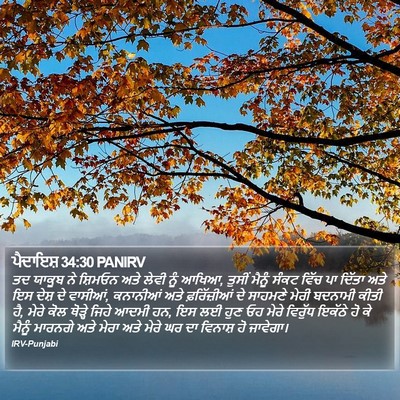 ਪੈਦਾਇਸ਼ 34:30 PANIRV Bible Verse Image