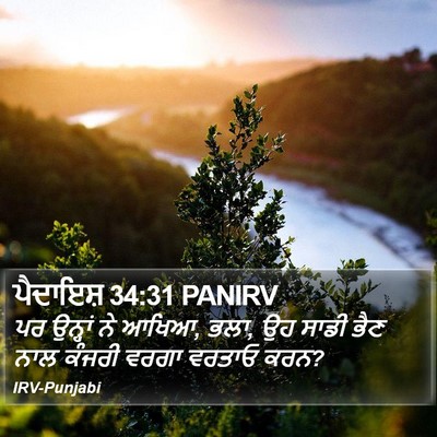 ਪੈਦਾਇਸ਼ 34:31 PANIRV Bible Verse Image