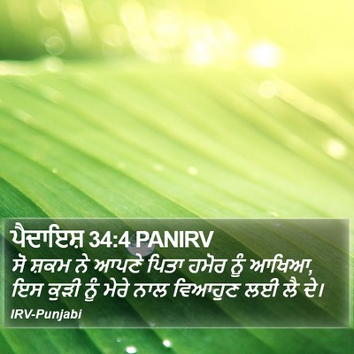ਪੈਦਾਇਸ਼ 34:4 PANIRV Bible Verse Image