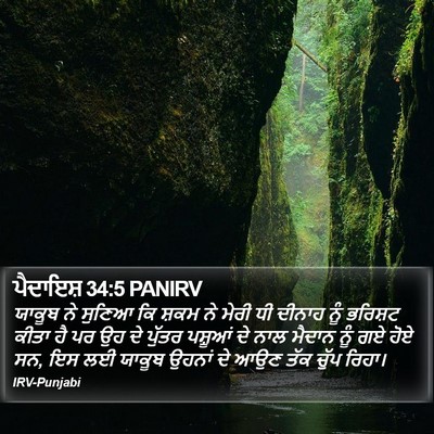 ਪੈਦਾਇਸ਼ 34:5 PANIRV Bible Verse Image