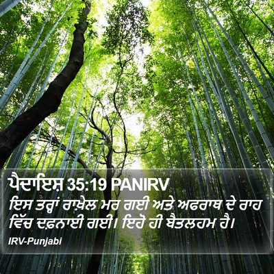 ਪੈਦਾਇਸ਼ 35:19 PANIRV Bible Verse Image