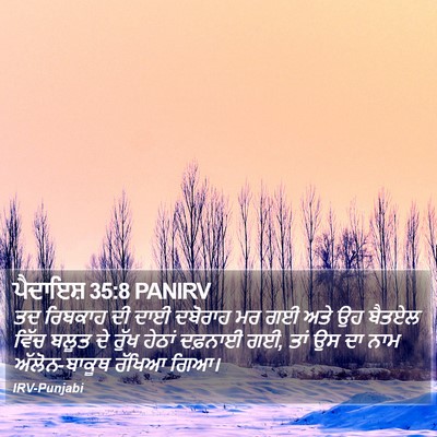 ਪੈਦਾਇਸ਼ 35:8 PANIRV Bible Verse Image