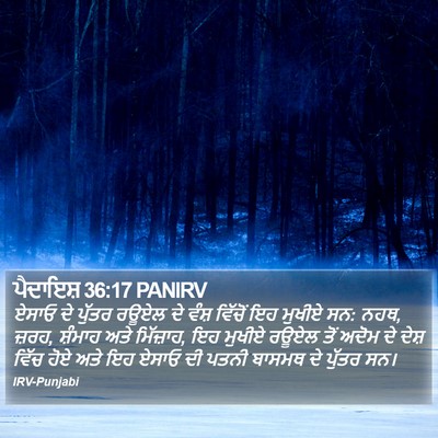 ਪੈਦਾਇਸ਼ 36:17 PANIRV Bible Verse Image