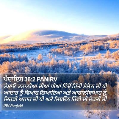 ਪੈਦਾਇਸ਼ 36:2 PANIRV Bible Verse Image