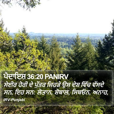 ਪੈਦਾਇਸ਼ 36:20 PANIRV Bible Verse Image