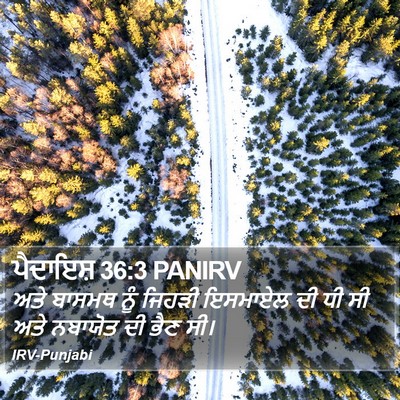 ਪੈਦਾਇਸ਼ 36:3 PANIRV Bible Verse Image