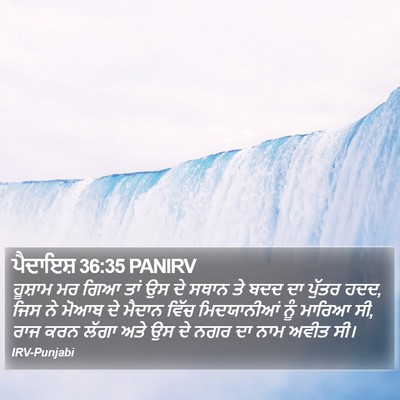 ਪੈਦਾਇਸ਼ 36:35 PANIRV Bible Verse Image