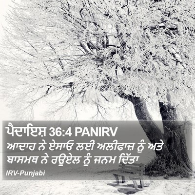 ਪੈਦਾਇਸ਼ 36:4 PANIRV Bible Verse Image