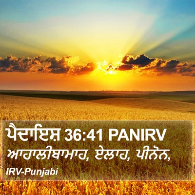ਪੈਦਾਇਸ਼ 36:41 PANIRV Bible Verse Image