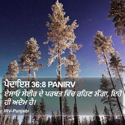 ਪੈਦਾਇਸ਼ 36:8 PANIRV Bible Verse Image