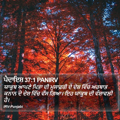 ਪੈਦਾਇਸ਼ 37:1 PANIRV Bible Verse Image