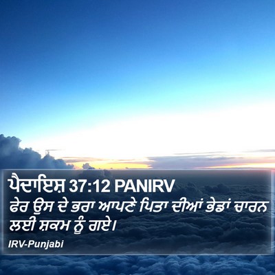 ਪੈਦਾਇਸ਼ 37:12 PANIRV Bible Verse Image