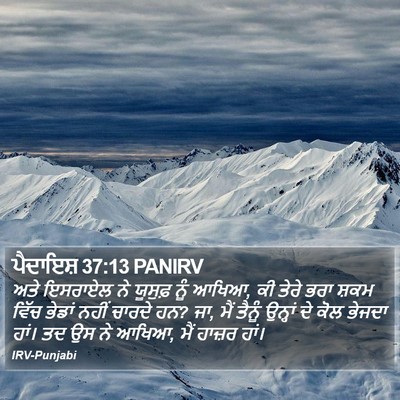 ਪੈਦਾਇਸ਼ 37:13 PANIRV Bible Verse Image