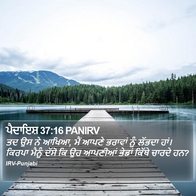ਪੈਦਾਇਸ਼ 37:16 PANIRV Bible Verse Image