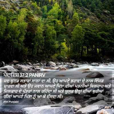 ਪੈਦਾਇਸ਼ 37:2 PANIRV Bible Verse Image