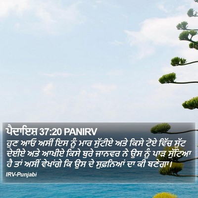ਪੈਦਾਇਸ਼ 37:20 PANIRV Bible Verse Image