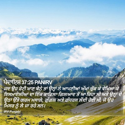 ਪੈਦਾਇਸ਼ 37:25 PANIRV Bible Verse Image