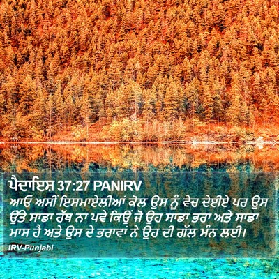 ਪੈਦਾਇਸ਼ 37:27 PANIRV Bible Verse Image