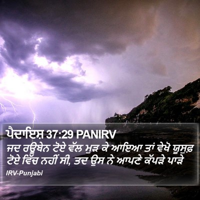 ਪੈਦਾਇਸ਼ 37:29 PANIRV Bible Verse Image